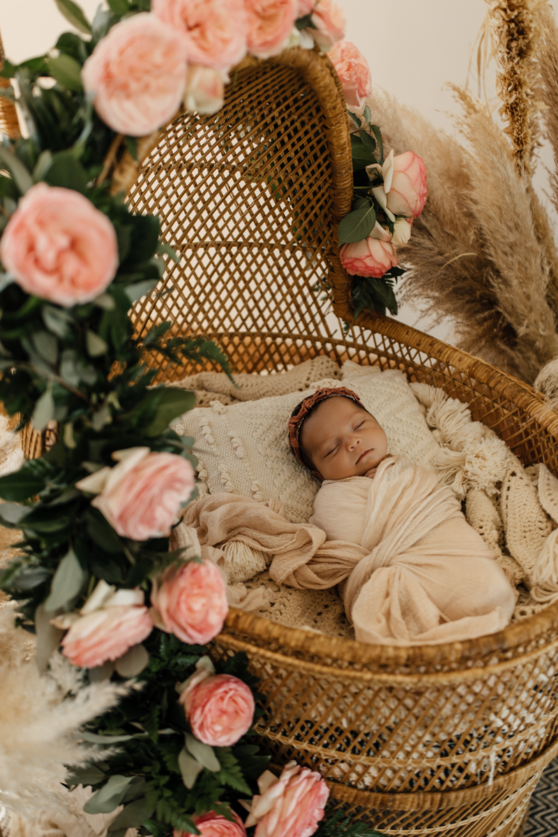 Photography Studio on Main, a baby lays in a wicker bassinet with roses around her