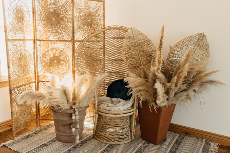 Photography Studio on Main, the corner of a studio is full with boho style design, wicker chairs, and pampas grass